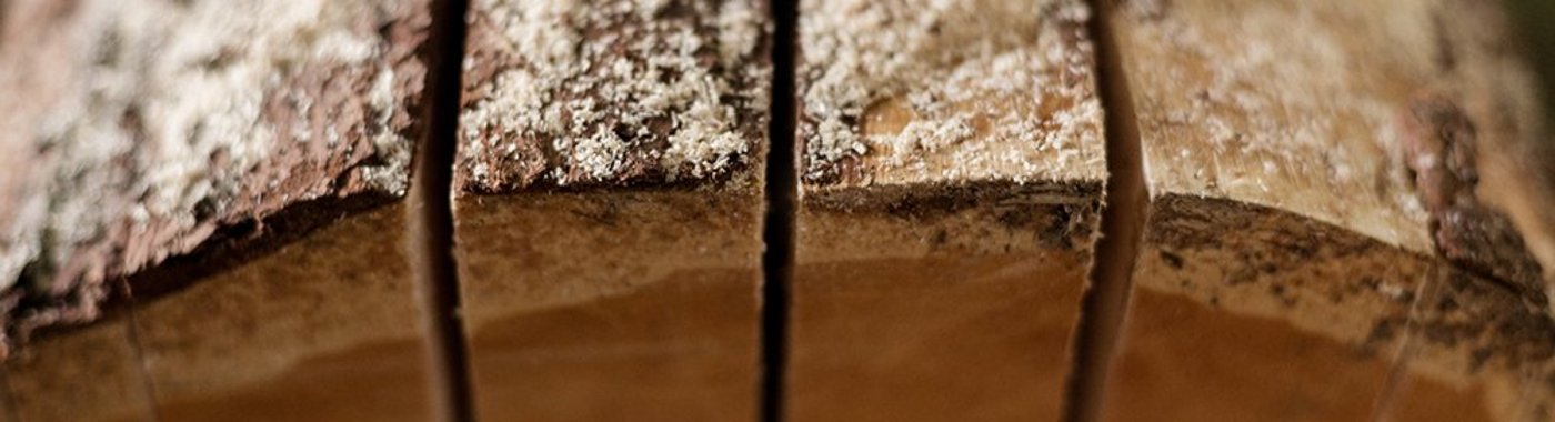 Ein Holzstamm der Zirbe